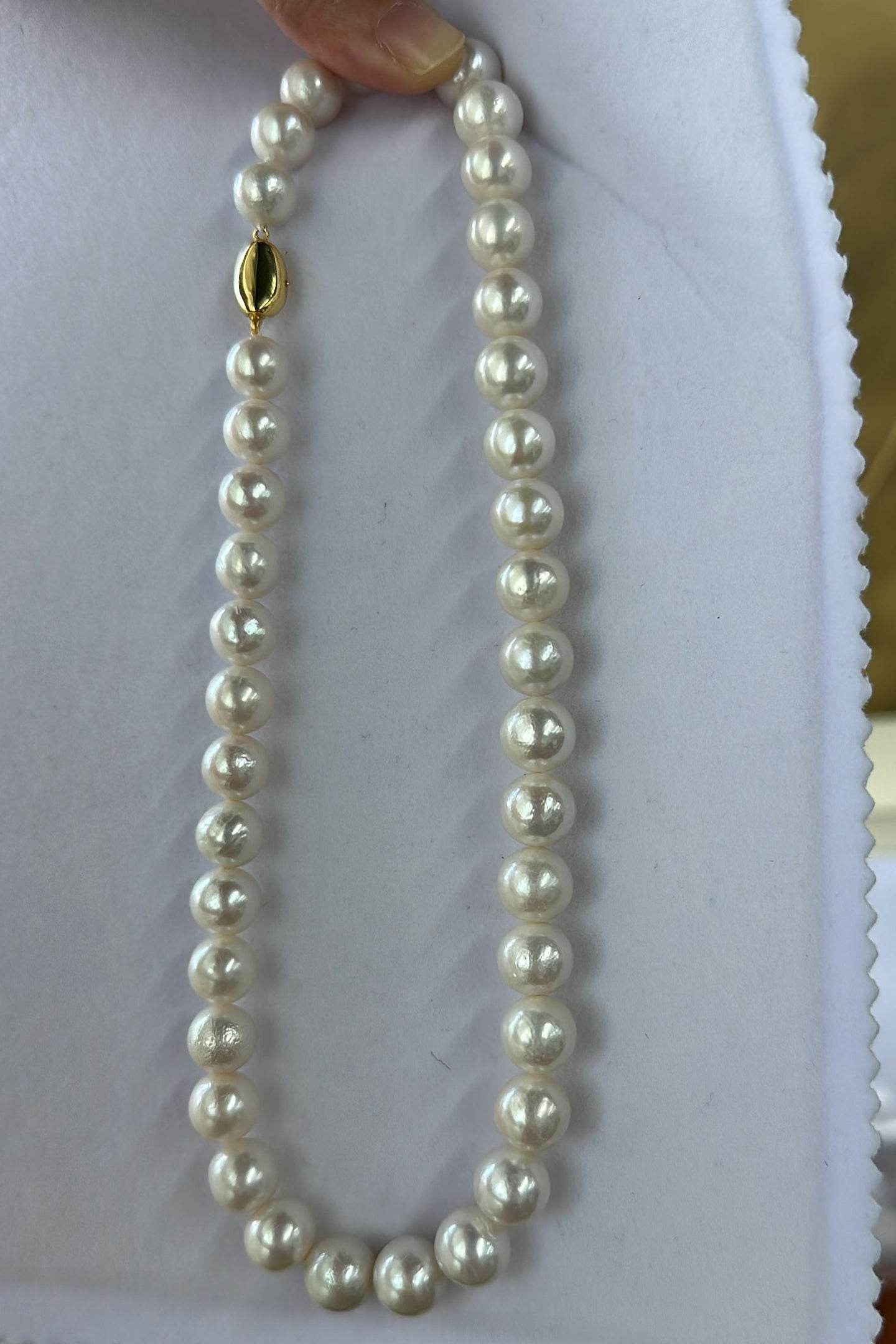 Private Treasure · Lustre Whisper · Necklace - SOLIS